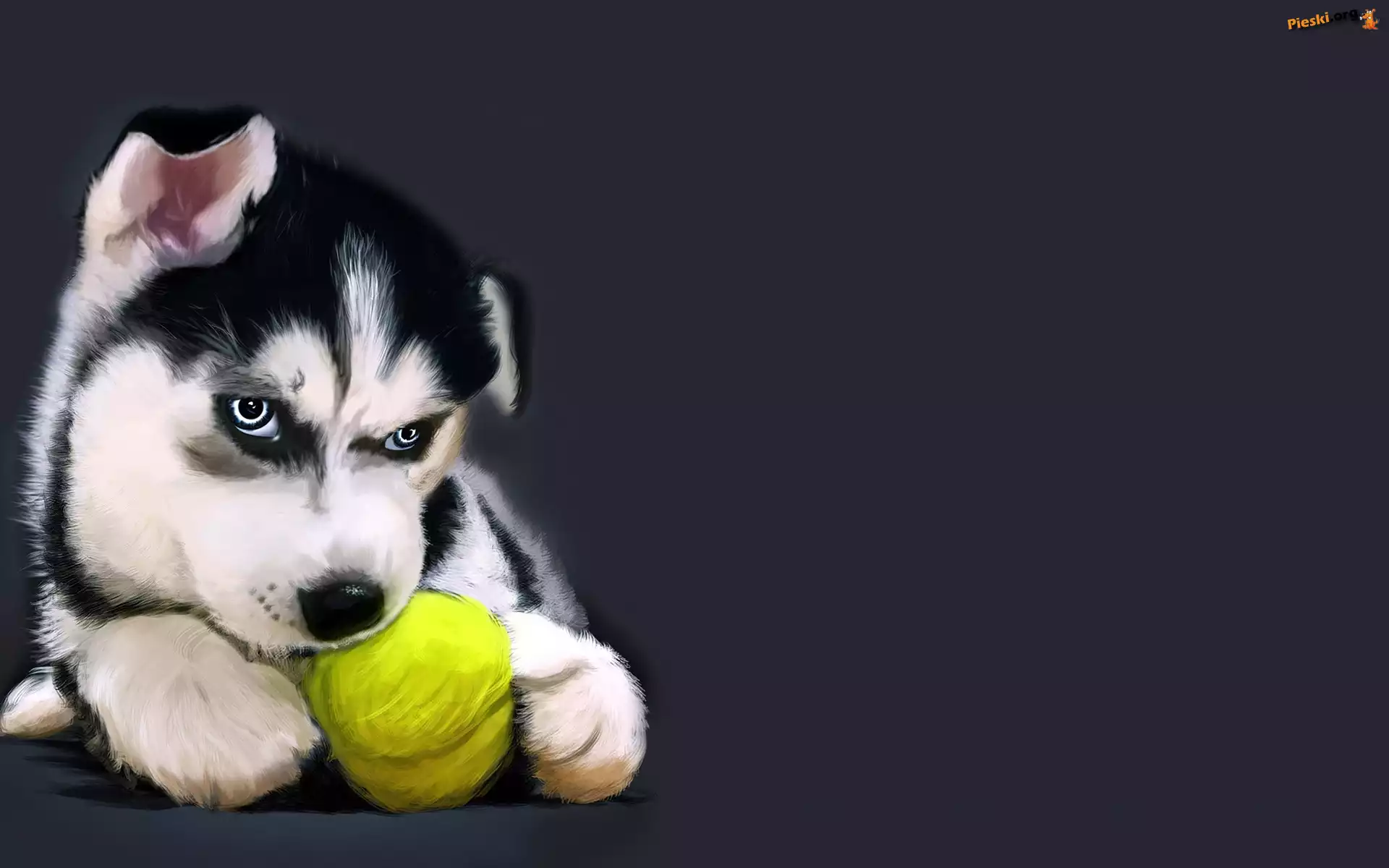 Alaskan Malamute, Grafika