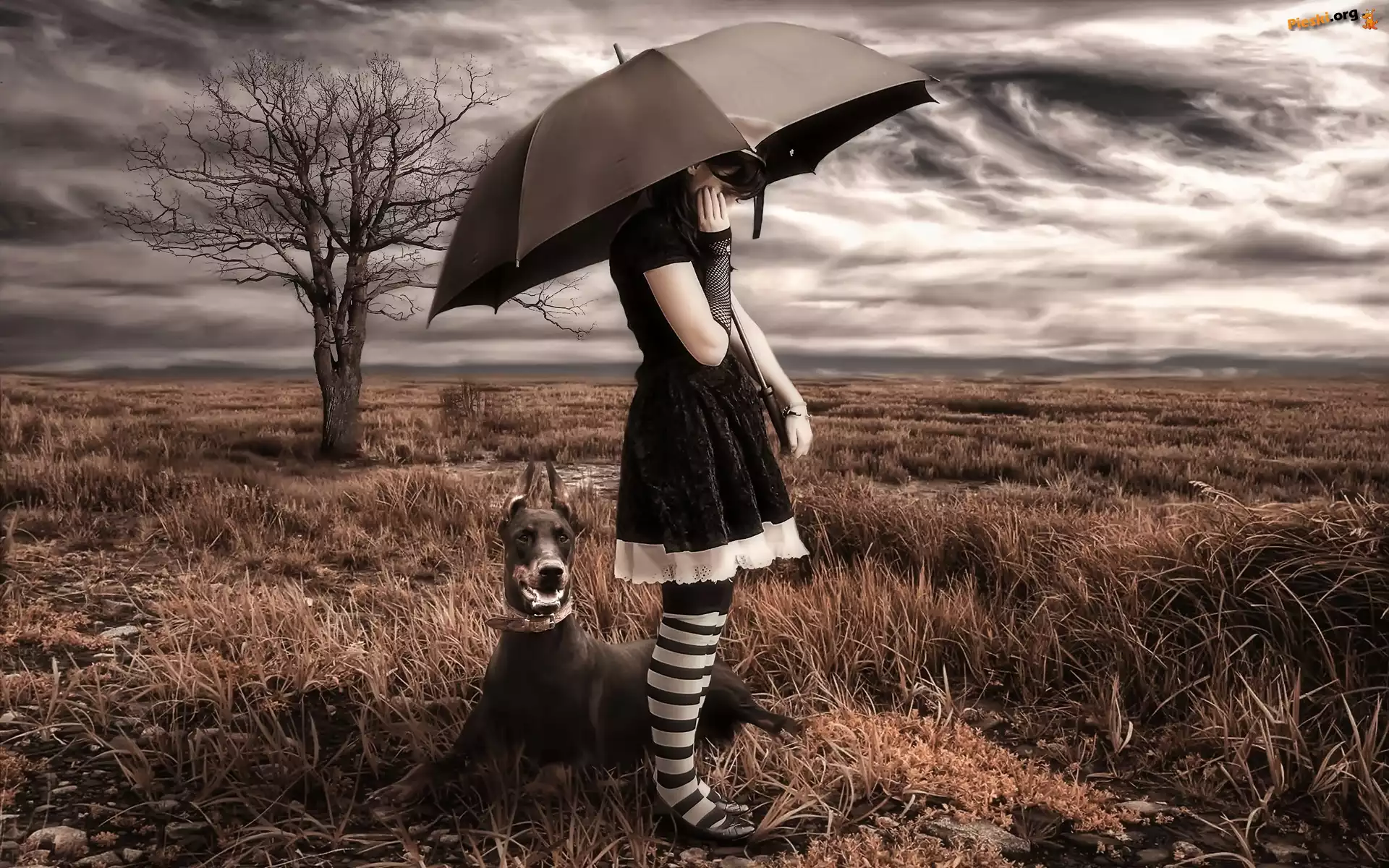Parasol, Łąka, Pies, Drzewo, Chmury, Dziewczyna, Doberman