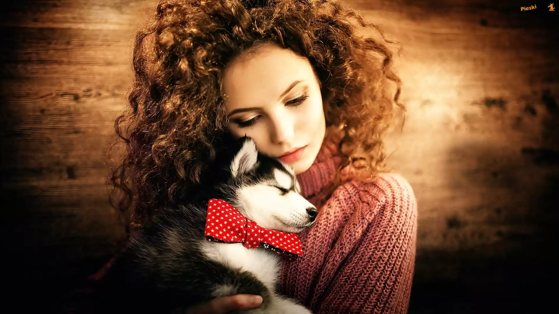 Husky, Młoda, Kolorowa, Dziewczyna, Smutna, Szczeniaczek, Muszka