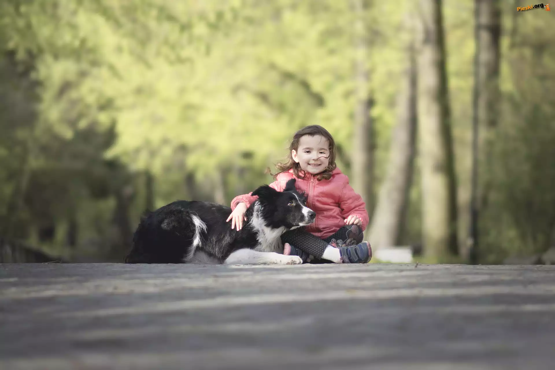 Dziewczynka, Park, Przyjaciele, Pies, Border collie, Alejka