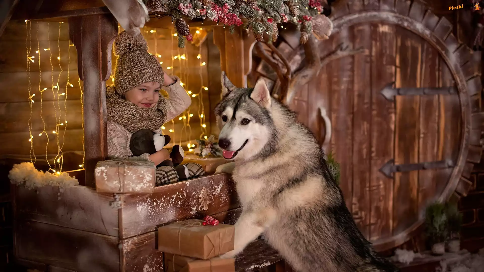 Świątecznie, Pies, Dziecko, Siberian husky, Światełka