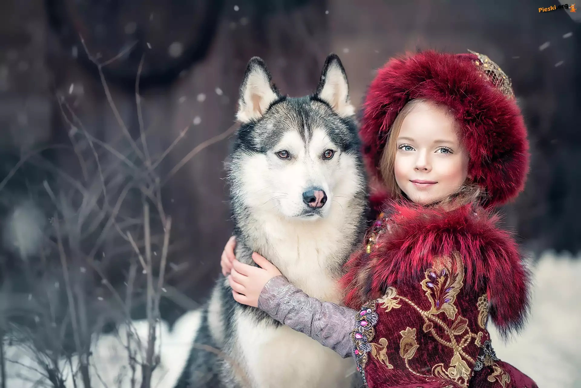 Dziewczynka, Pies, Siberian husky