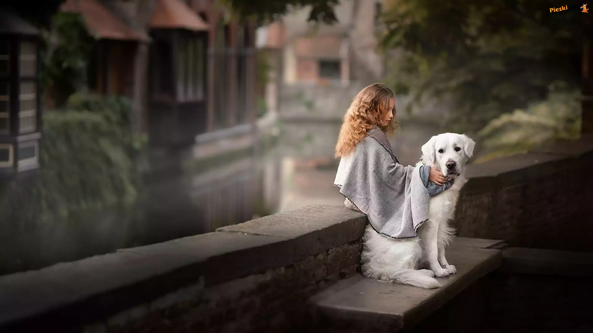 Golden retriever, Dziewczynka, Pies, Murek