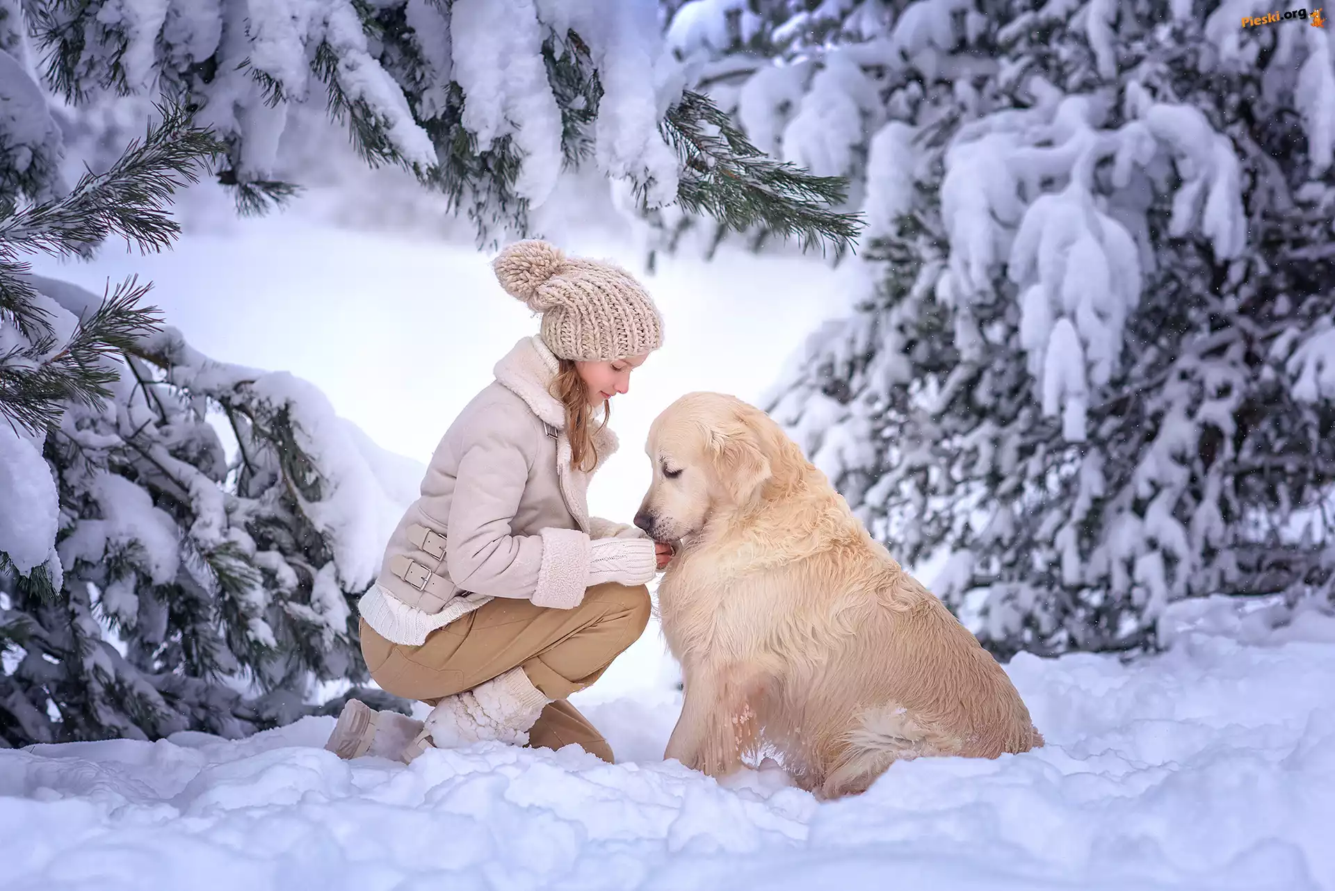 Zima, Pies, Dziewczynka, Drzewa, Śnieg, Golden retriever