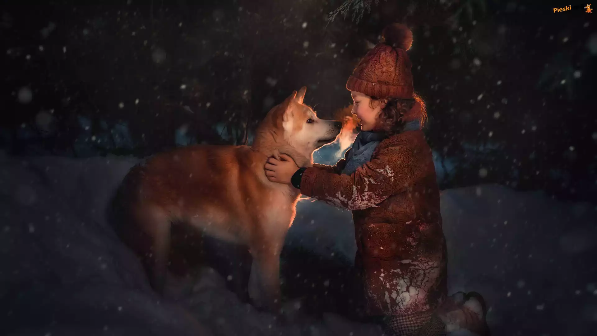 Śnieg, Pies, Dziewczynka, Akita inu, Zima