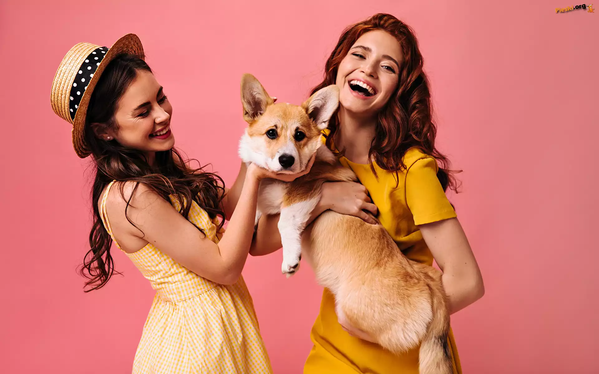 Welsh corgi pembroke, Młode, Kobiety, Pies, Dwie, Uśmiech, Kapelusz